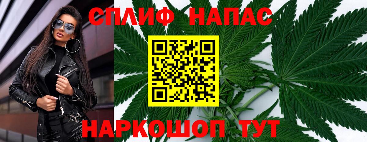 Каннабис планчик Лыткарино